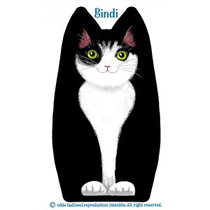 Sewing kit : Bindi kitten