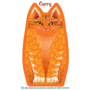 Kit chaton Curry