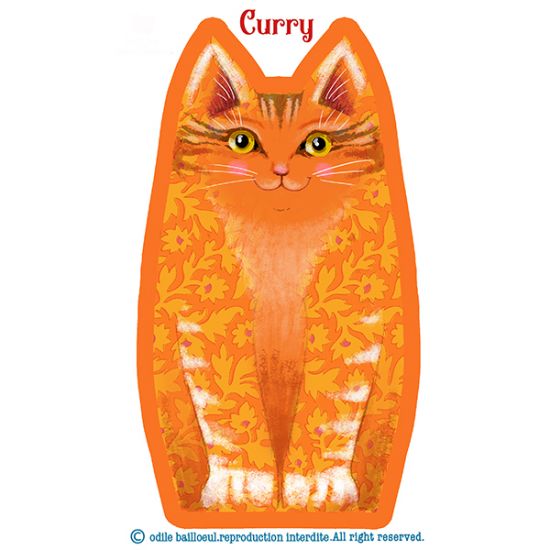 Kit chaton Curry